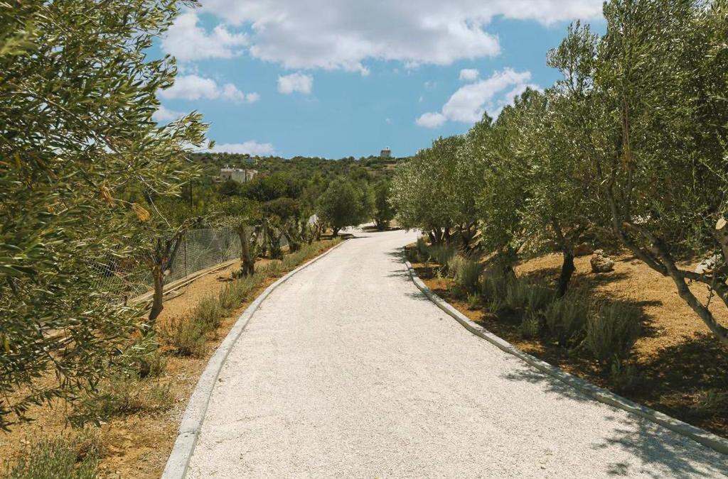 Apartment Little Eden Homes Agios Nikolaos (Crete)